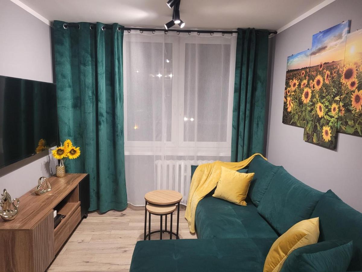 Apertment Wenus Apartment Zabrze Luaran gambar